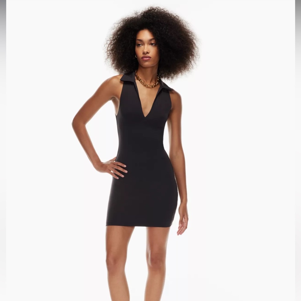 Aritzia Babaton Polo Dress